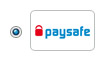 Primer izbire plačilnega sredstva pri nakupu na spletnem mestu Skype